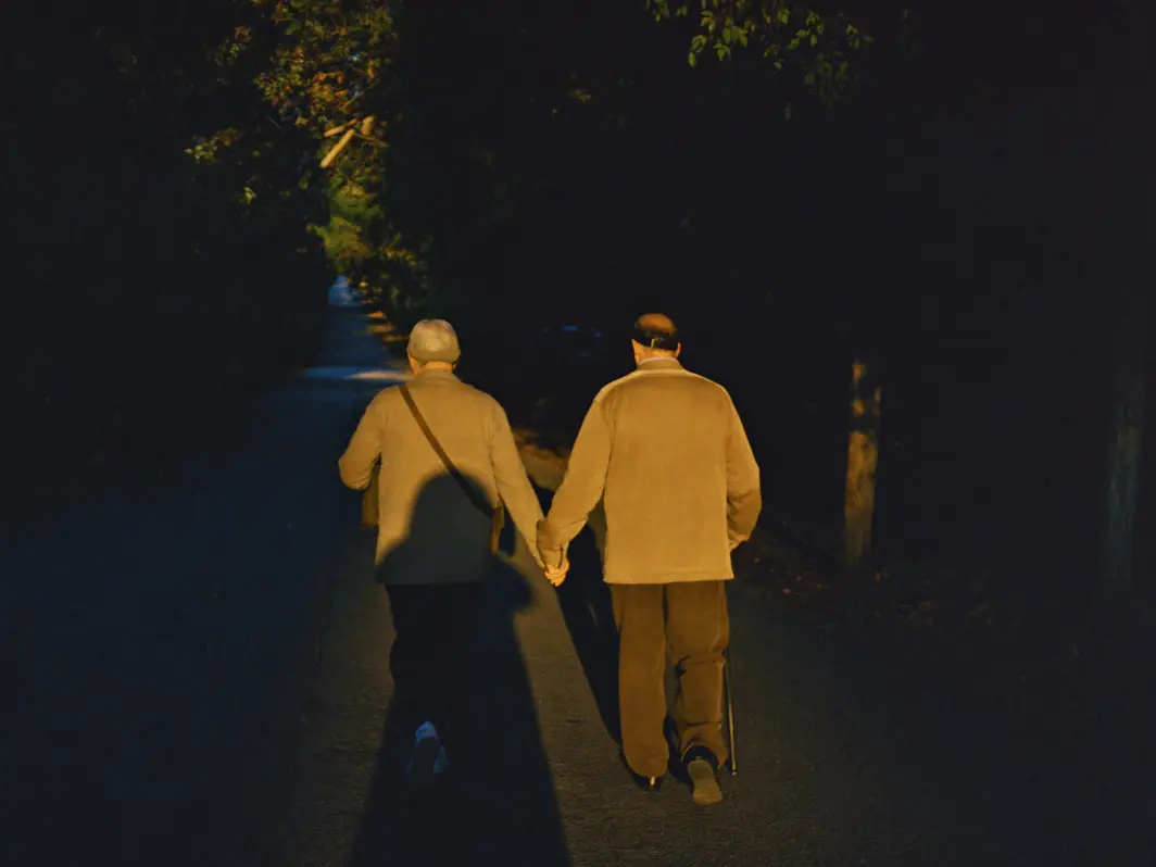 Senior couple walking hand in hand down a tree-lined path at dusk